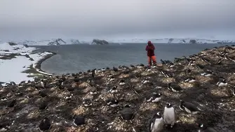 Ето ги оазисите в Антарктида (СНИМКИ)