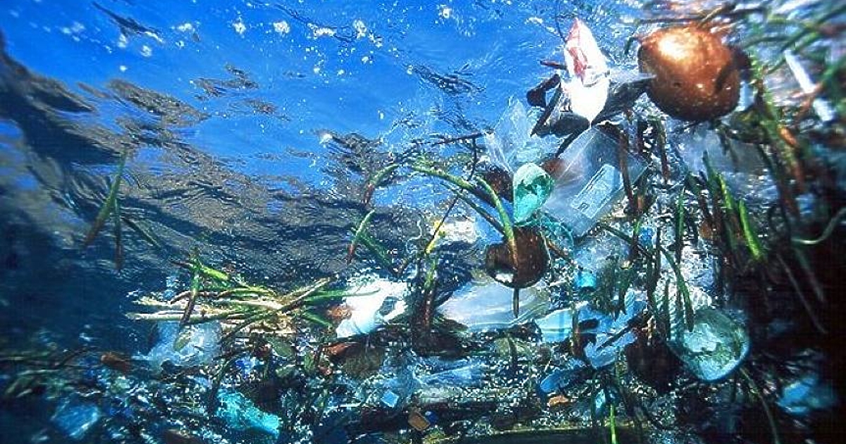 Човечеството замърсява океаните от десетилетия, а последствията ще се усещат