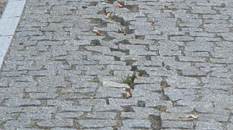 Година след приключване на вечния ремонт на столичния Западен парк налице