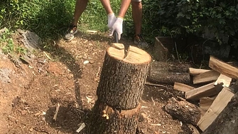 Има ли картел при продажбата на твърди горива за отопление