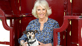 Съпругата на Чарлз Камила херцогинята на Корнуол ще бъде кралица консорт