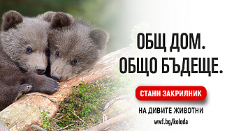 Популациите на диви животни – бозайници птици земноводни влечуги и