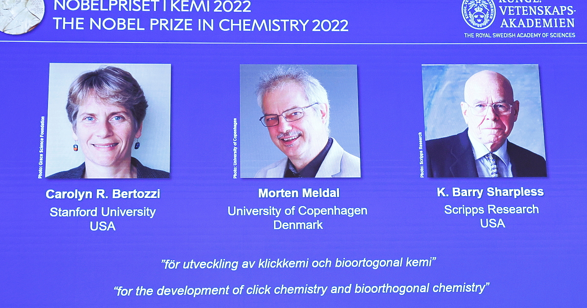 Нобеловата награда за химия отиде при Каролин Бертоци, Мортън Мелдал