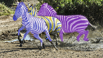 Към 17 30 ч втората букмейкърска агенция с която работим дава