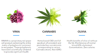 Израелска компания клонира и отглежда в биореактор конопени клетки които