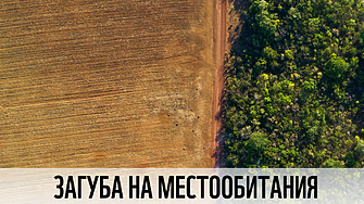 Популациите на редица застрашени животински видове в България са изложени