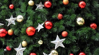 Поскъпването на торовете и почвените смеси ще даде отражение върху