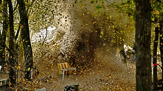 В резултат на бойните действие в Украйна около 30 от