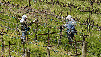 Европейската комисия одобри стратегическия план на България в размер на