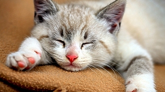 Преди близо 10 000 години хората заселили се около реките