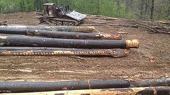 Отказът на президента Румен Радев да наложи вето на последните