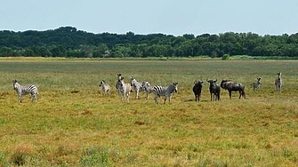 Руските войски са превзели 20 природни резервата в Украйна съобщи