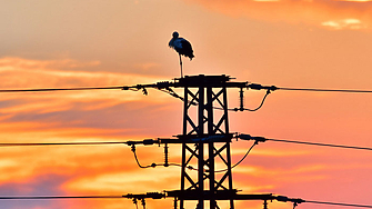 Всеки работен ден в продължение на повече от месец селата