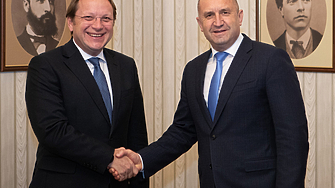 Държавният глава Румен Радев изрази безпокойство пред комисаря по въпросите