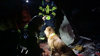 Над 1600 специалисти от 21 членки на ЕС и партньорски