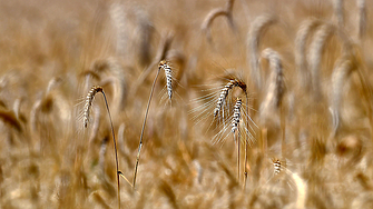 Едно от малкото валидни споразумения във войната между Русия и