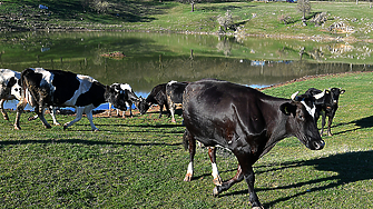 Европейската комисия съобщи днес че е одобрила включването на Българско кисело