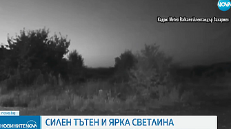Силен гръм и ярка светлина над Видинско стреснаха жителите на