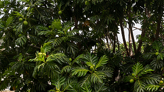 Едва ли е учудващо че интериорният дизайн се влияе от