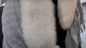 Проблемът с българската ЕЗА европейска заповед за арест както е