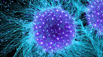 Германската фирма Бионтех постигна нов голям пробив в медицината разработи ваксина