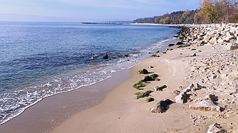 Без изненади продължава местното състезание за зебри във Варна към