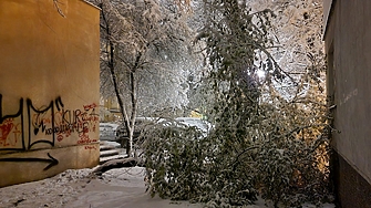 Затворени пътища селища без ток отменени полети паднали клони колони