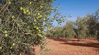 Гръцки фермери и медии предупреждават сънародниците си да не купуват