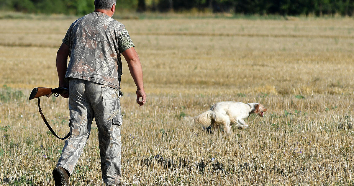 Мъж е убит по непредпазливост по време на лов в Разградско. Инцидентът