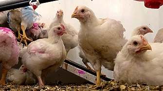 Всяка страна членка на ЕС ще има правото да задейства