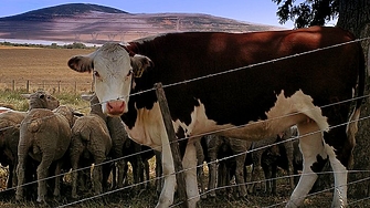 Европейската комисия одобри схема за българска държавна помощ в размер