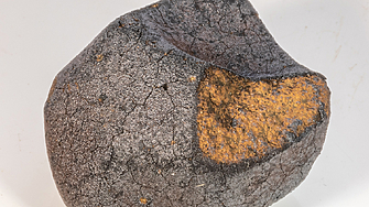 Собственик на земя в Швеция спечели съдебна битка за запазване