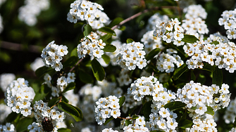 През нощта ще бъде ясно и почти тихо Минималните температури