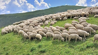 Бюрото на Европейската прокуратура в София предложи на Софийския окръжен