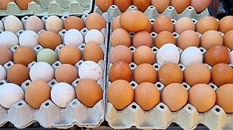 Отмяната на митата и квотите на украинския износ на ЕС