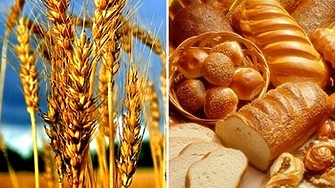 Нормалната надценка на хляба е в рамките на 15 но