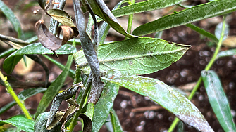 Обявен е жълт код за ниски температури в три области