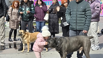 Започваме работа за подготовка на политическите дебати идеите на народните