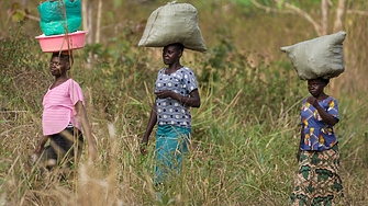 Резкият скок на цената на кафето от началото на 2025