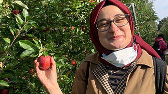 Федерален съдия в щата Масачузетс временно блокира депортирането на докторантка