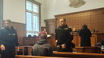 С ефективна присъда от 5 години свършва засега сагата с нечовешки