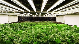 Страните членки Съветът на ЕС приеха регламент с който се