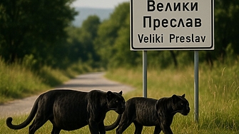 Сагата около черния леопард пума или каквото там е голямото