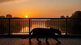 Още по тематаПодкрепете ниУважаеми читатели вие сте тук и днес