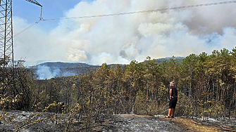 Дългоочакваният дъжд в Пирин заваля Надеждите са че ще бъде