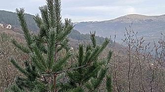 В следващите дни времето ще се определя от циклони в