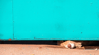 Прокурорско обвинение е повдигнато на 29 годишен гражданин на Северна Македония