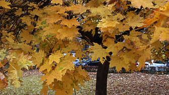 Днес над по голямата част от страната ще бъде предимно слънчево