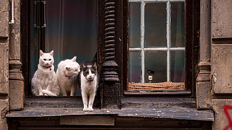 Европейският парламент и страните членки Съветът на ЕС постигнаха споразумение