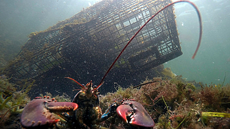 Страните членки Съветът на ЕС приеха мандата си за преговори